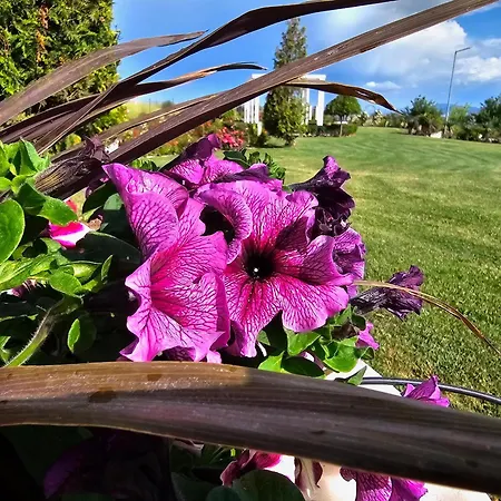 Diamond Sarafovo By Kp - Luxury Collection, 5 Appartement Burgas