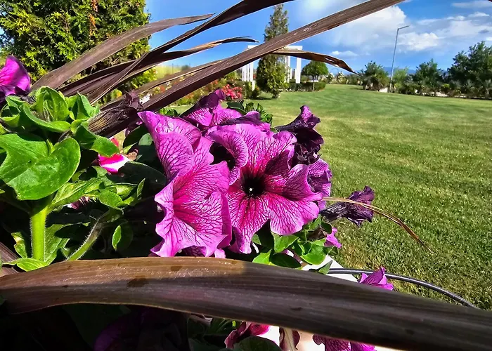 Diamond Sarafovo By Kp - Luxury Collection, 5 Appartement Burgas